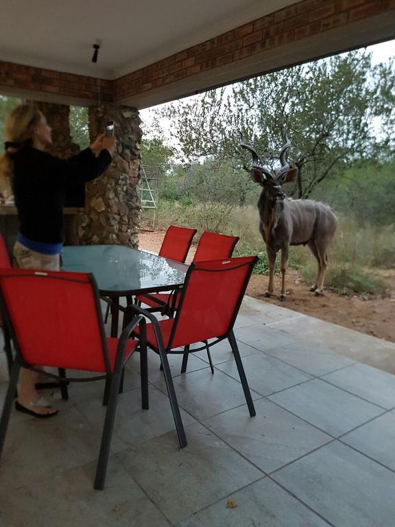 Villa Lion King Marloth Park Exterior foto